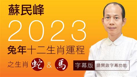 蘇民峰2023年生肖運程|【蘇民峰2023兔年生肖運程】肖馬有太陰星女貴人相助 桃花排第2。